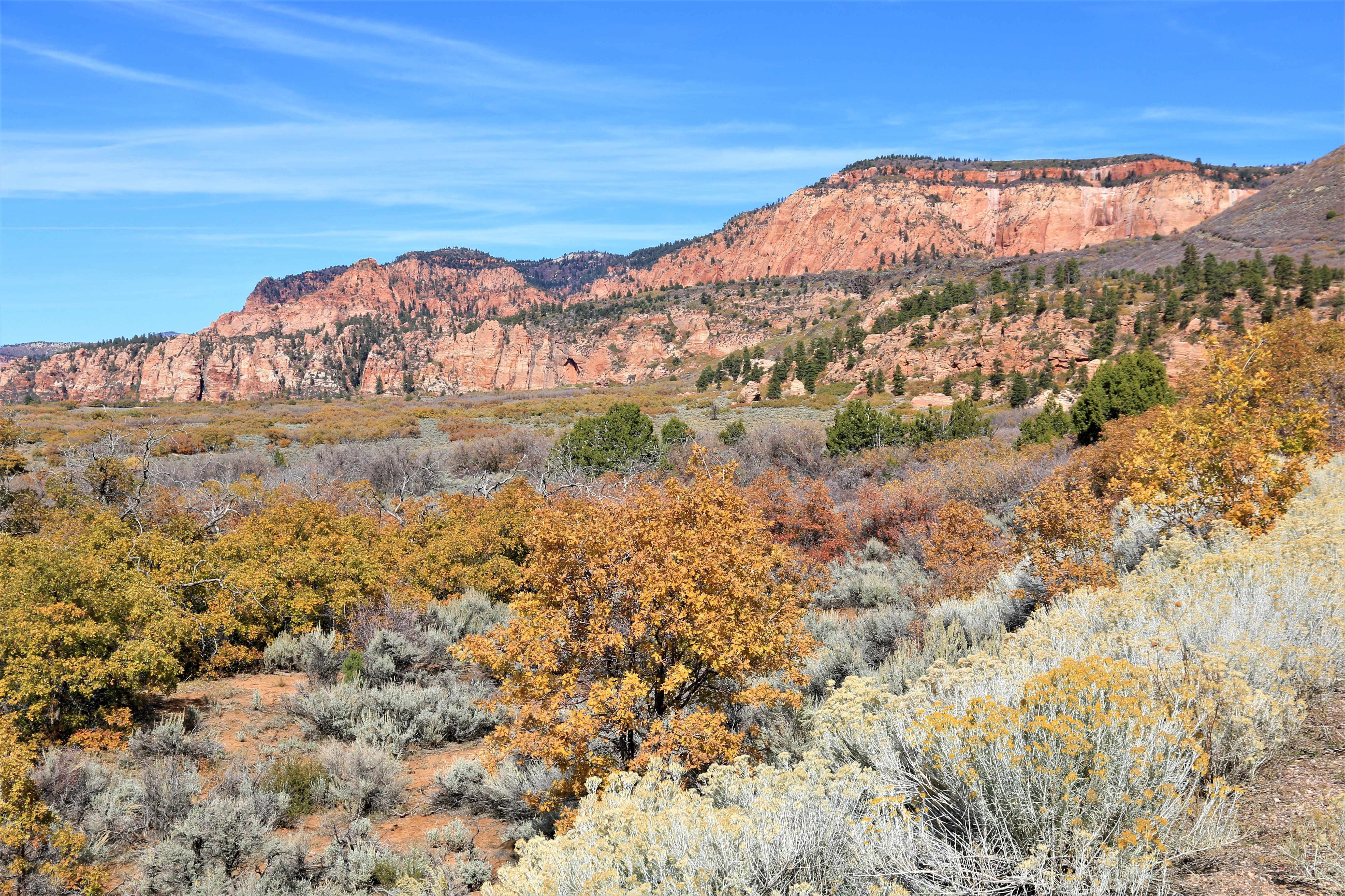 Zion NP